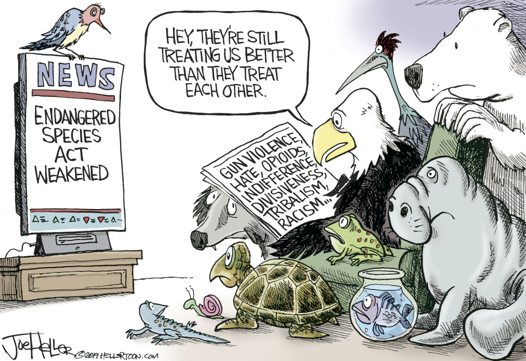 Cartoon 8-23